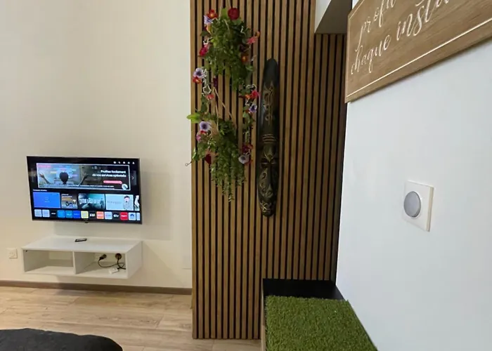 Apartmán L'evasion Zen - Jacuzzi Privatif Sélestat